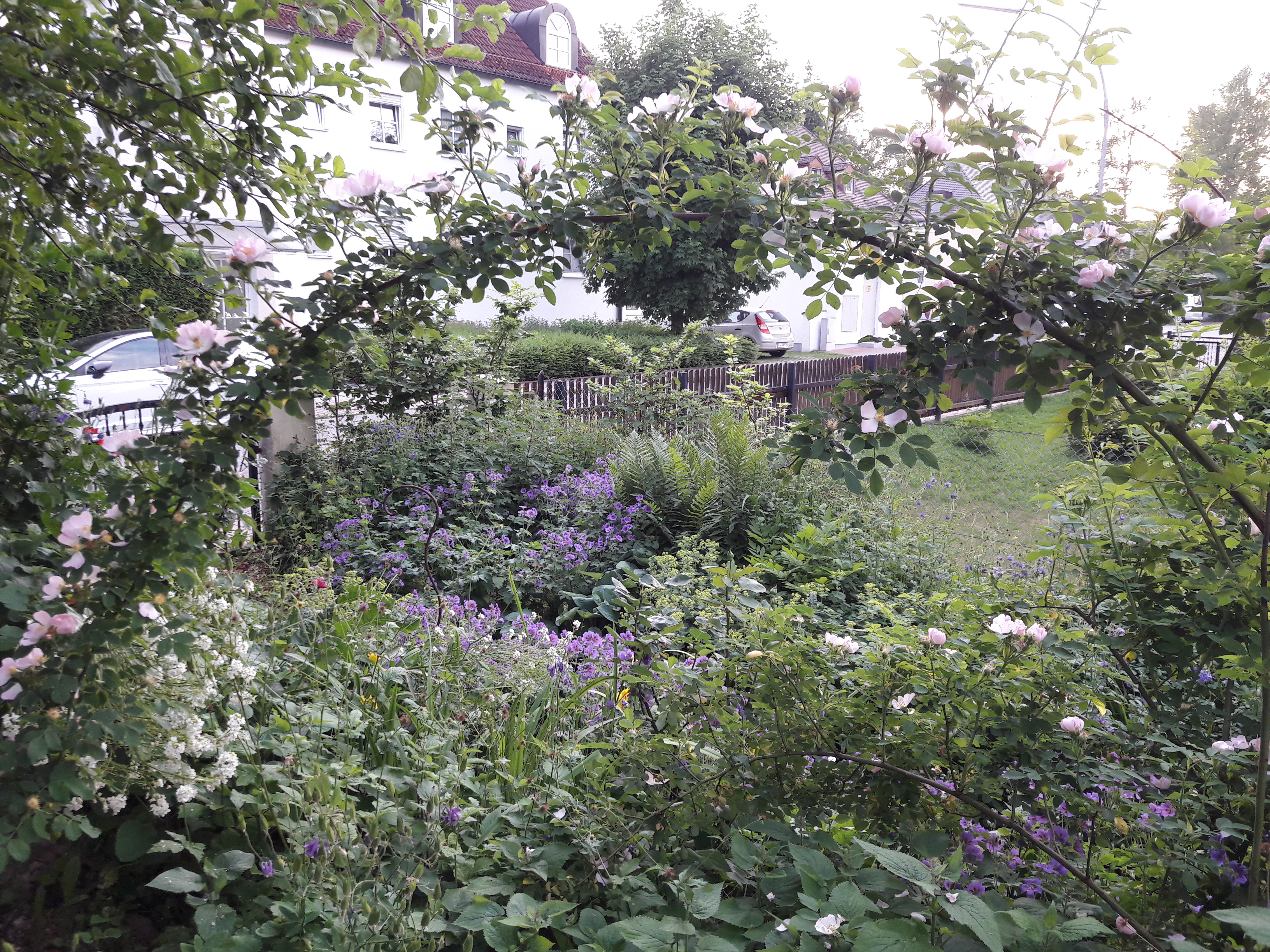 Naturnaher Garten